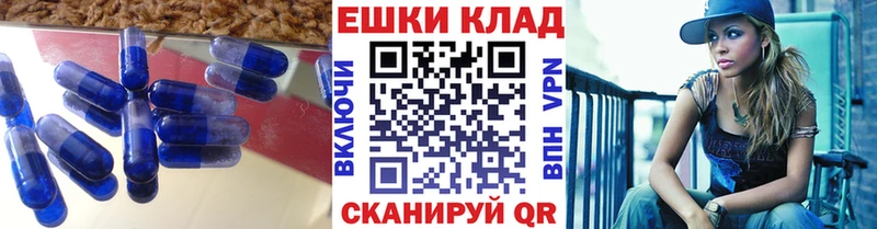 хочу   Петухово  Ecstasy Дубай 