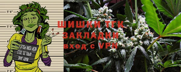 молекула духа Горняк
