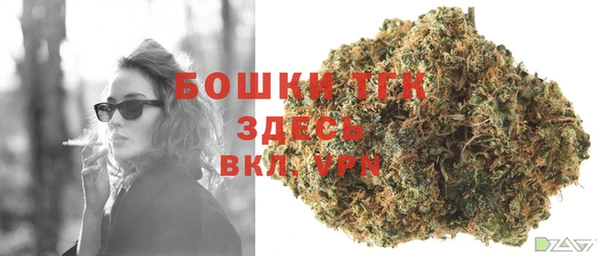 молекула духа Горняк