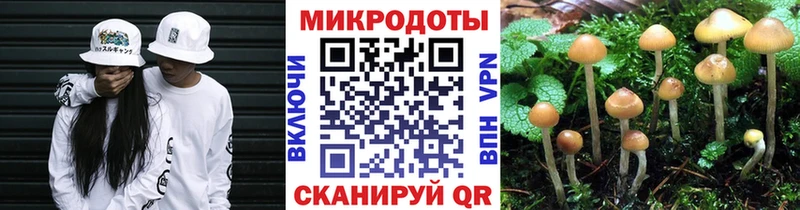 Галлюциногенные грибы Magic Shrooms  Петухово 
